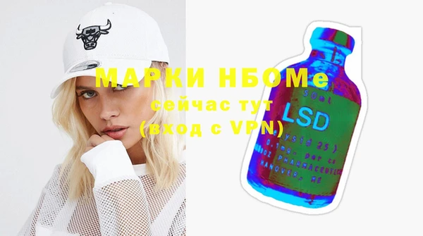 сатива Верея