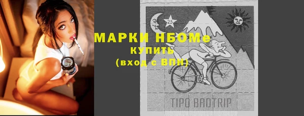 сатива Верея