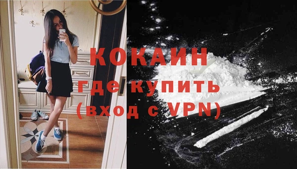 сатива Верея
