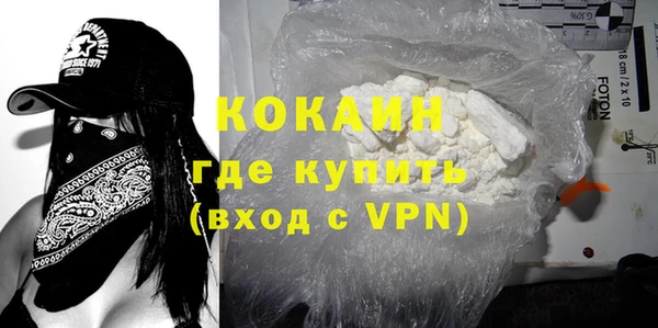 сатива Верея