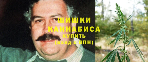 сатива Верея