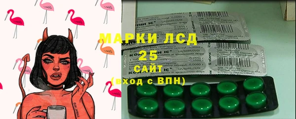 сатива Верея
