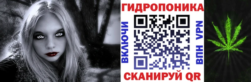 Купить закладки  Новомичуринск  МАРИХУАНА план 